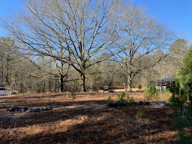 121 County Line Church Rd, Milledgeville, GA 31061 - photo 24