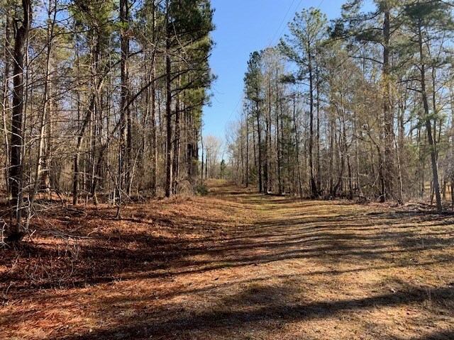 121 County Line Church Rd, Milledgeville, GA 31061 - photo 15