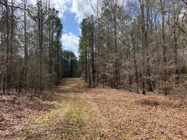 121 County Line Church Rd, Milledgeville, GA 31061 - photo 8