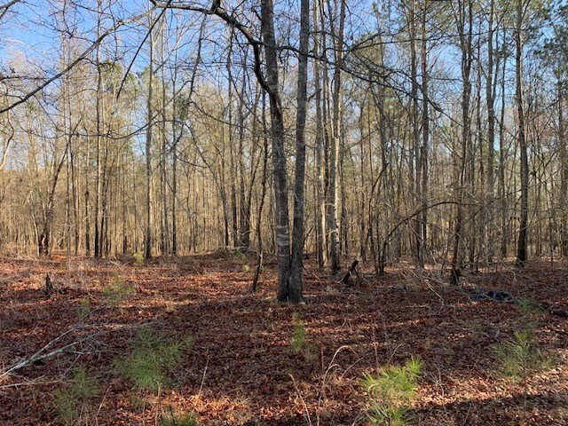 121 County Line Church Rd, Milledgeville, GA 31061 - photo 23