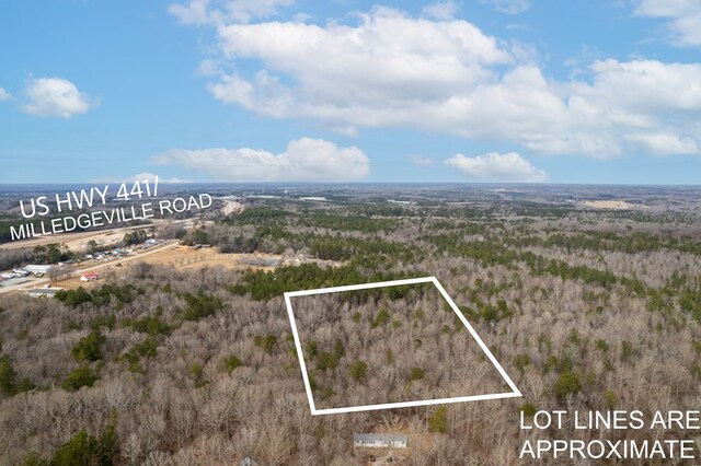 0 Old Milledgeville Rd, Eatonton, GA 31024 - photo 8