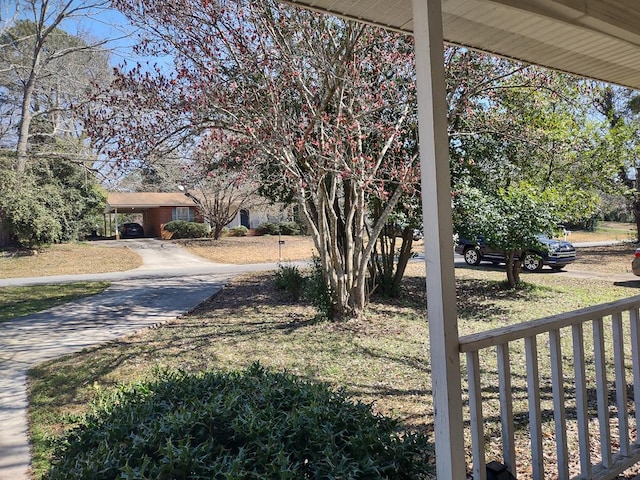 view of yard featuring driveway