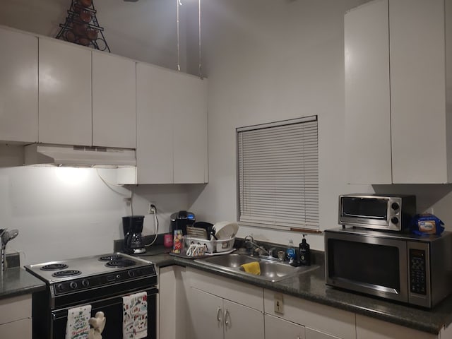 kitchen with black / electric stove, under cabinet range hood, a sink, white cabinets, and stainless steel microwave