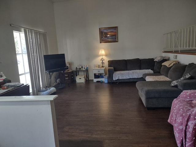 living room featuring wood finished floors