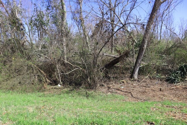 LT.1 Harrison Davisboro Rd, Davisboro, GA 31018 - photo 3
