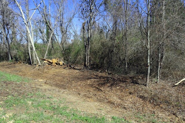 LT.1 Harrison Davisboro Rd, Davisboro, GA 31018 - photo 1