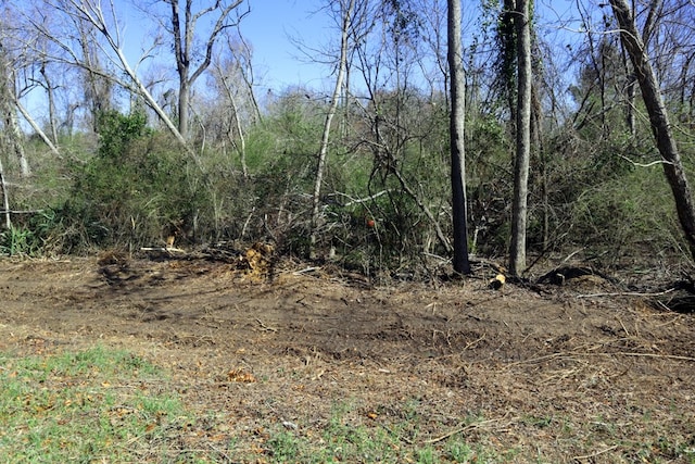 LT.1 Harrison Davisboro Rd, Davisboro, GA 31018 - photo 2