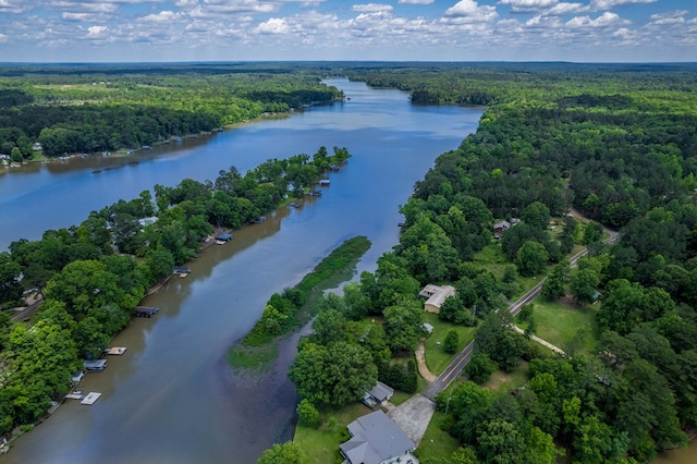 bird's eye view with a water view and a wooded view