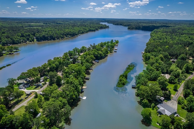 drone / aerial view with a water view and a wooded view