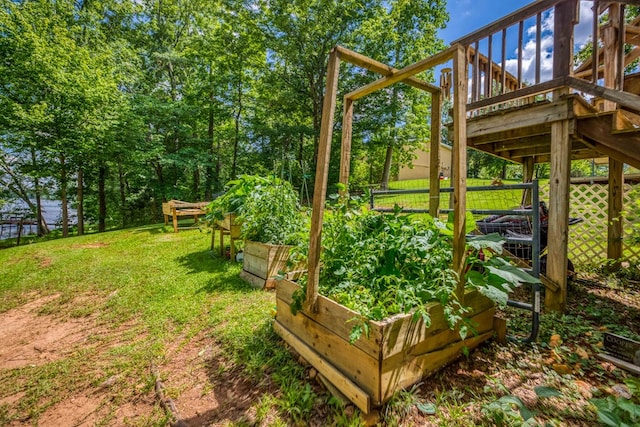 view of yard with a vegetable garden