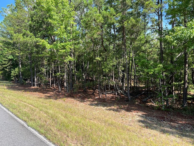 00 Ethridge Rd, Haddock, GA 31034 - photo 4