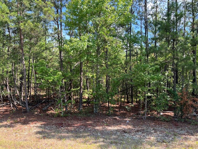 Listing photo 3 for 00 Ethridge Rd, Haddock GA 31034