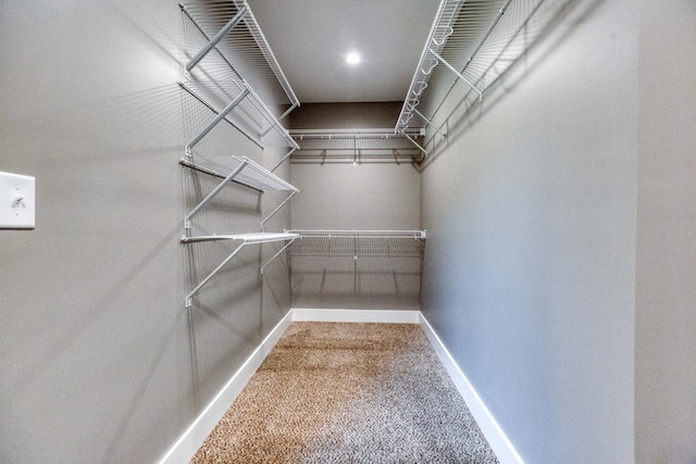 spacious closet featuring carpet