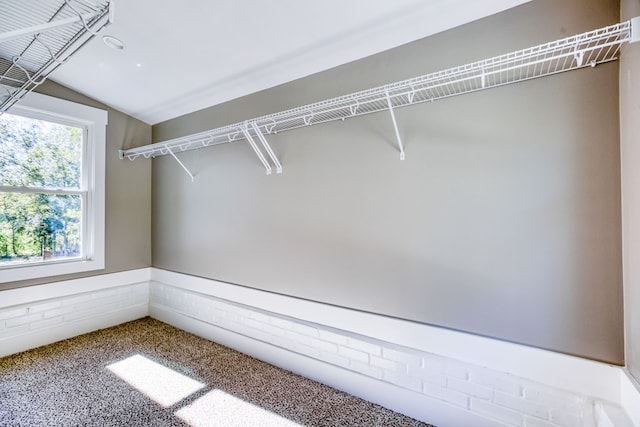 spacious closet with lofted ceiling