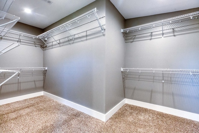 spacious closet featuring carpet flooring