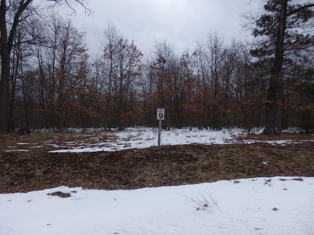 Listing photo 3 for Lot9 Renaissance, Manistee MI 49660