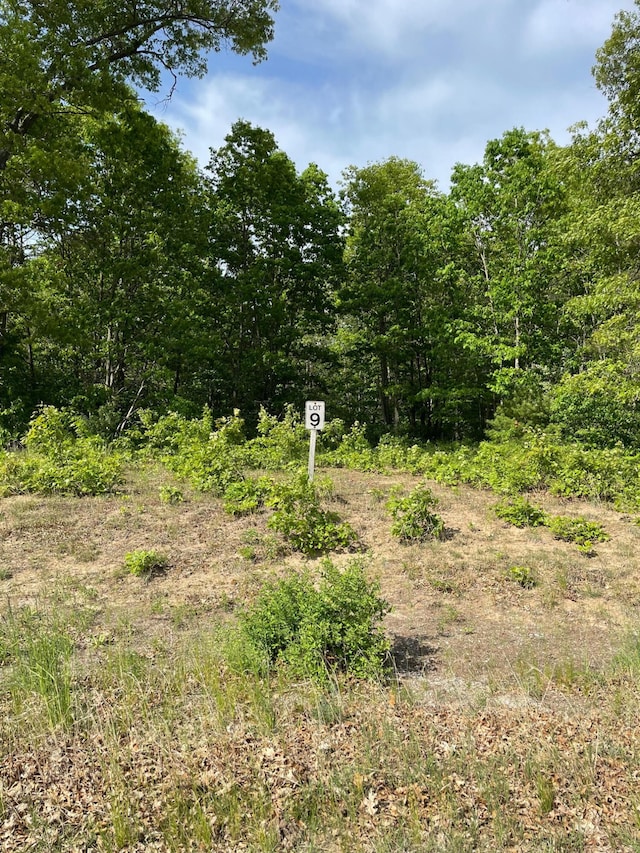 Lot9 Renaissance, Manistee MI, 49660 land for sale