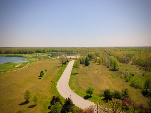 LOT9 Whitetail Trl, Mount Pleasant, MI 48858