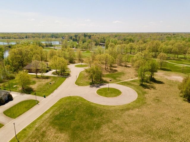 LOT9 Whitetail Trl, Mount Pleasant, MI 48858