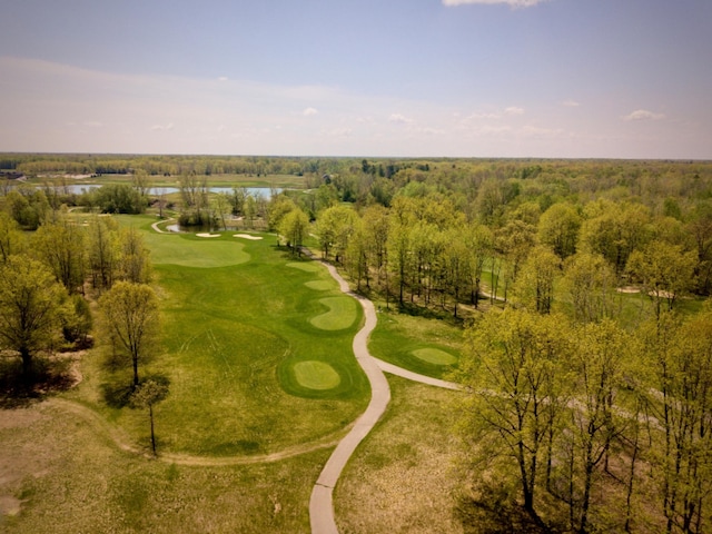 LOT9 Whitetail Trl, Mount Pleasant, MI 48858