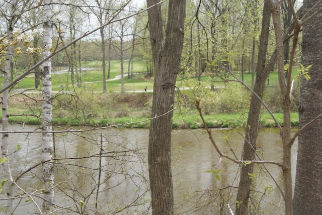 LOT9 Whitetail Trl, Mount Pleasant, MI 48858