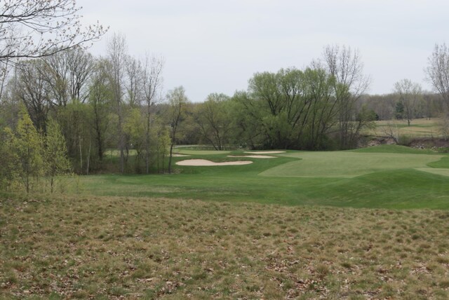 Listing photo 3 for LOT14 Whitetail Ct, Mount Pleasant MI 48858