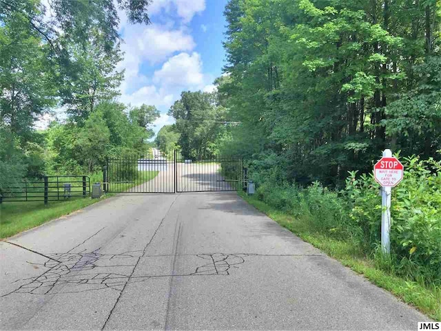 7040 Sanctuary Dr, Jackson, MI 49201 - photo 29