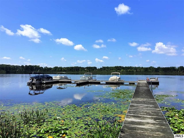 7040 Sanctuary Dr, Jackson, MI 49201 - photo 23