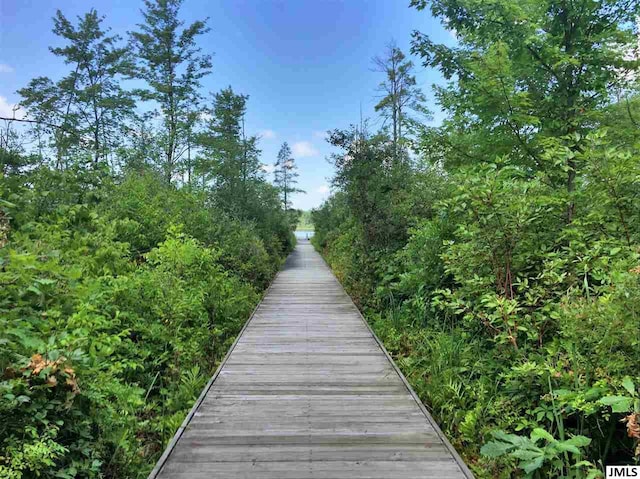 7040 Sanctuary Dr, Jackson, MI 49201 - photo 20