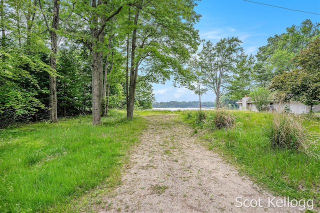 18870 E Brandywine Dr, Gobles, MI 49055