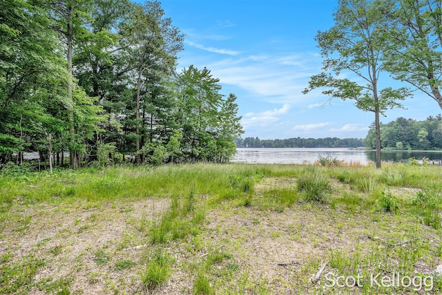 18870 E Brandywine Dr, Gobles, MI 49055