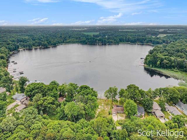 18870 E Brandywine Dr, Gobles, MI 49055