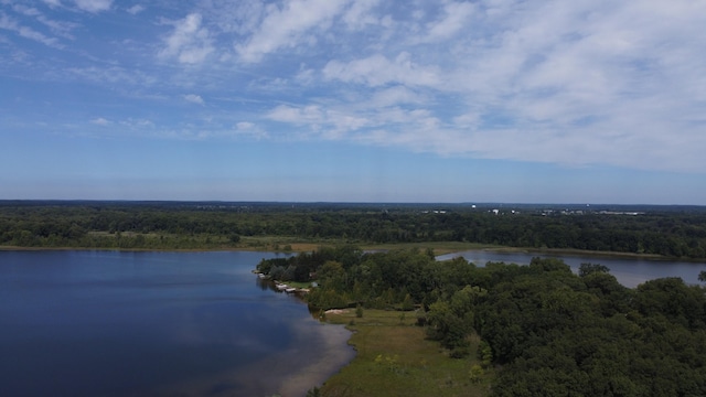 10505 18 1/2 Mile Rd, Marshall, MI 49068 - photo 4