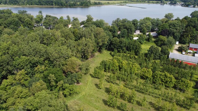 10505 18 1/2 Mile Rd, Marshall, MI 49068 - photo 7