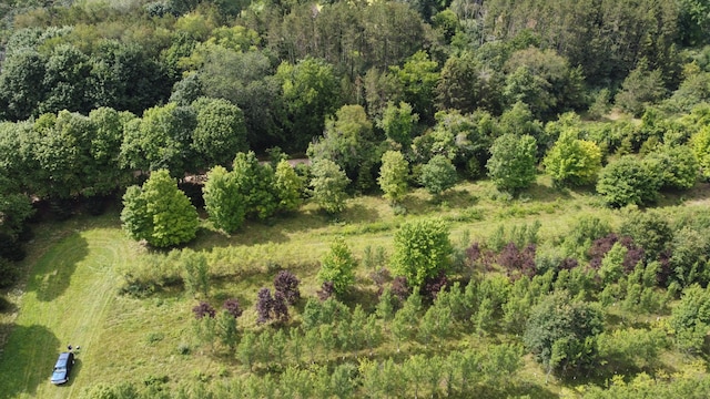 10505 18 1/2 Mile Rd, Marshall, MI 49068 - photo 9