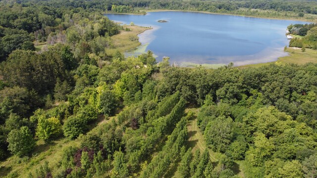 10505 18 1/2 Mile Rd, Marshall, MI 49068 - photo 10