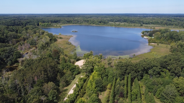 10505 18 1/2 Mile Rd, Marshall, MI 49068 - photo 11