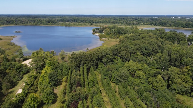 10505 18 1/2 Mile Rd, Marshall, MI 49068 - photo 12