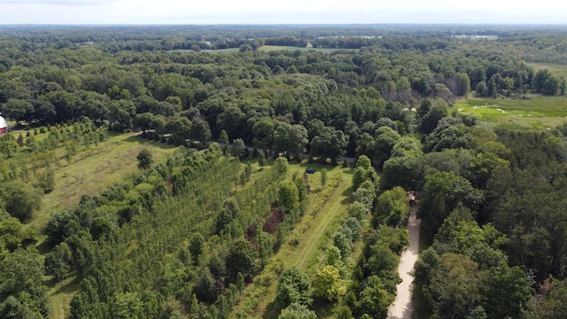 10505 18 1/2 Mile Rd, Marshall, MI 49068 - photo 13