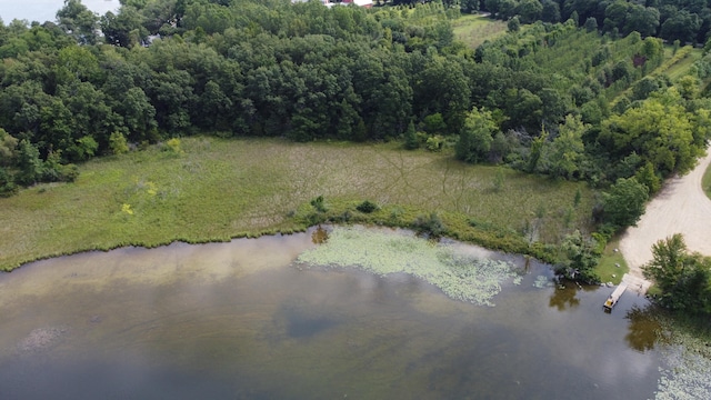 10505 18 1/2 Mile Rd, Marshall, MI 49068 - photo 15