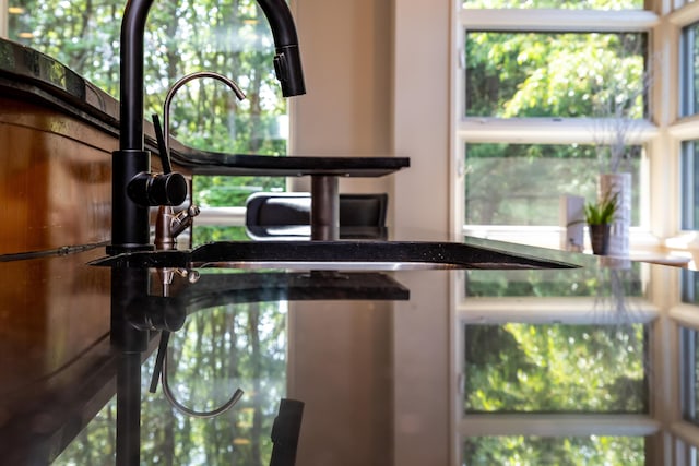 12737 Sanctuary Pl, Grand Haven, MI 49417 - kitchen view of a sink and dark countertops