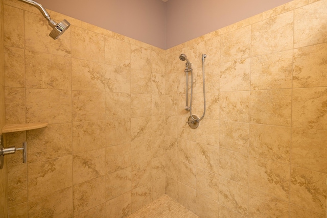 12737 Sanctuary Pl, Grand Haven, MI 49417 - bathroom view of tiled shower