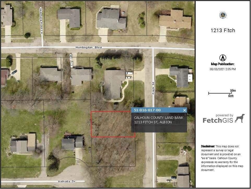 1213 Fitch St, Albion, MI 49224