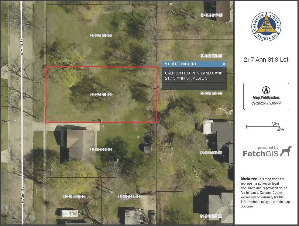 217 S Ann St, Albion, MI 49224