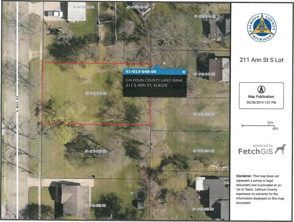 211 S Ann St, Albion, MI 49224