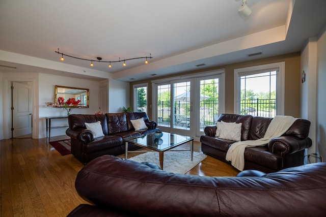 living room featuring track lighting and wood-type flooring