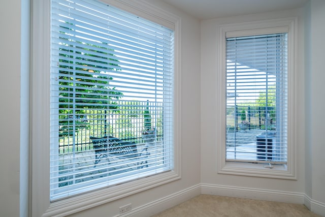 room details with carpet flooring and baseboards