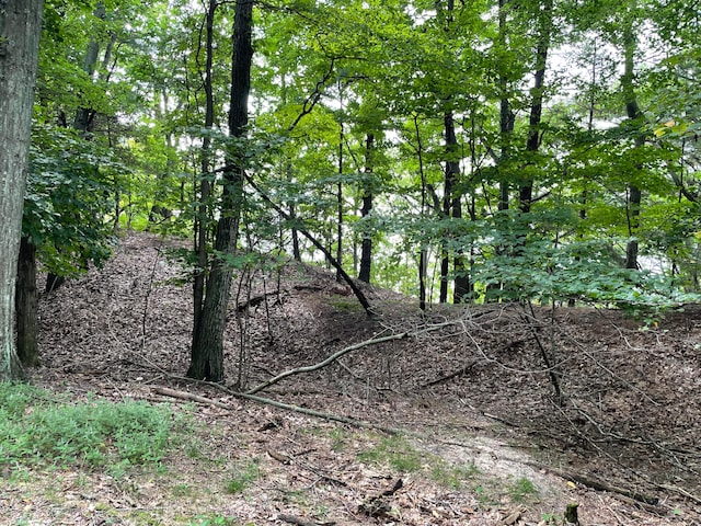 2087 S Glen Rd, Shelby, MI 49455 - photo 26