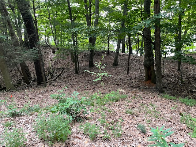 2087 S Glen Rd, Shelby, MI 49455 - photo 27