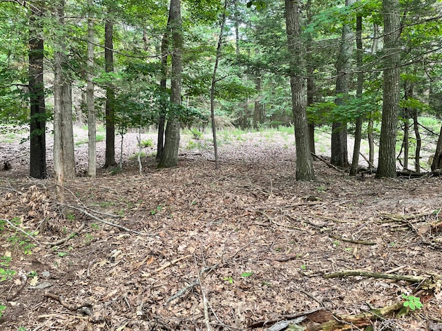 2087 S Glen Rd, Shelby, MI 49455 - photo 28